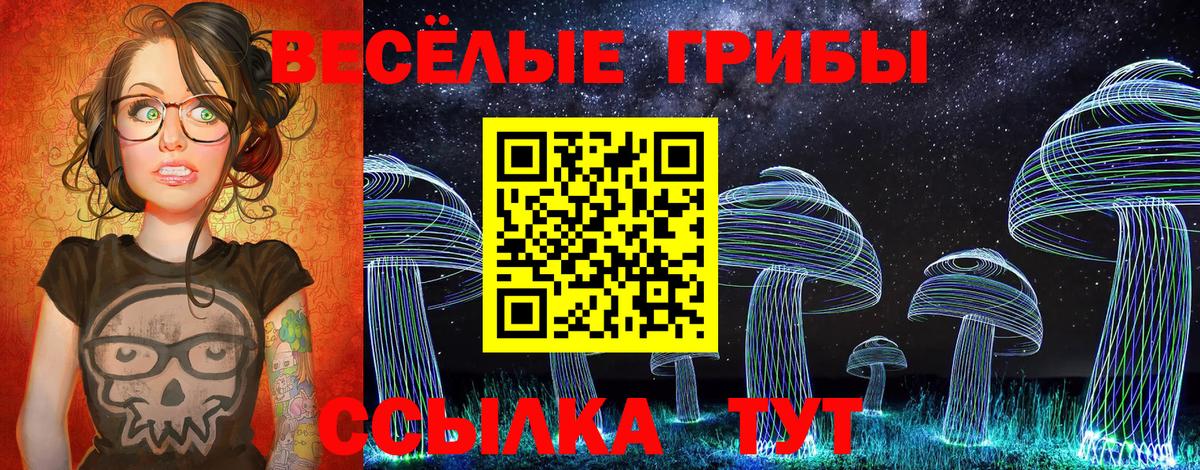 Горно-Алтайск  Псилоцибиновые грибы прущие грибы  Вход с VPN 